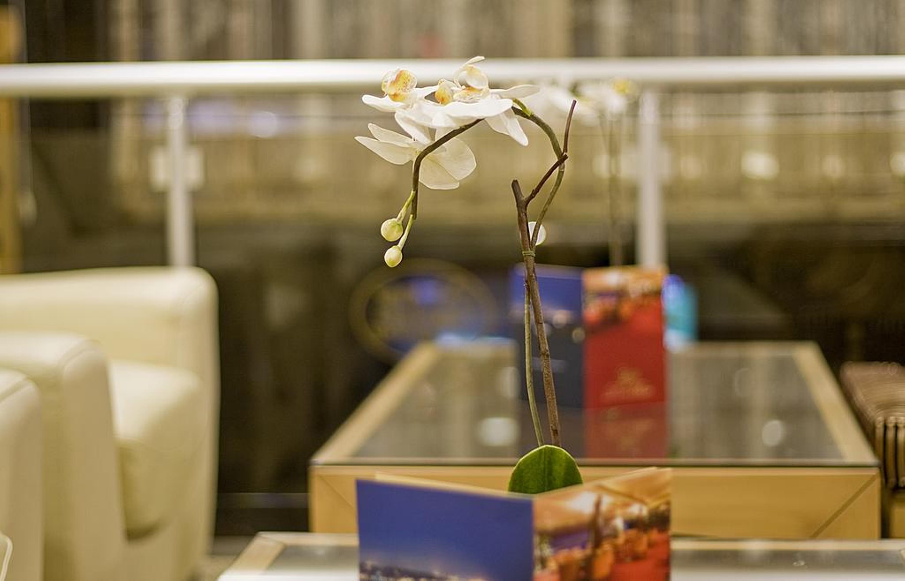 Park Star Hotel Taksim Istambul Extérieur photo